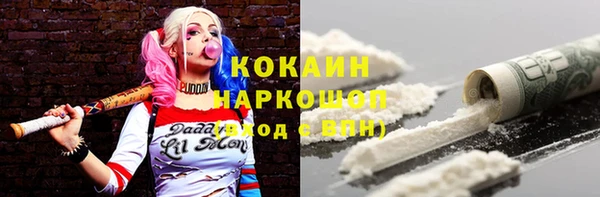 индика Алексеевка