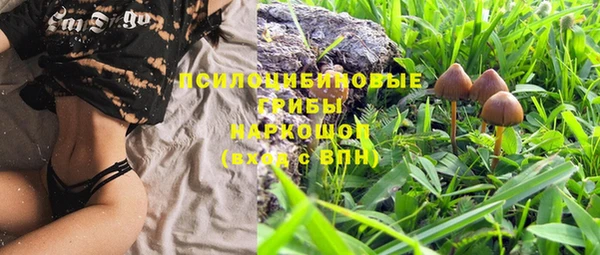 индика Алексеевка