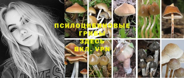 jwh Алзамай