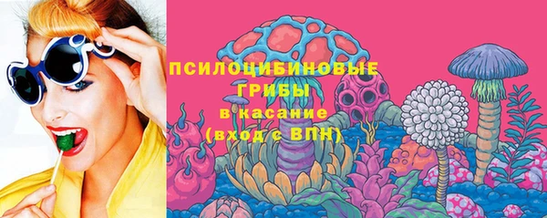 индика Алексеевка