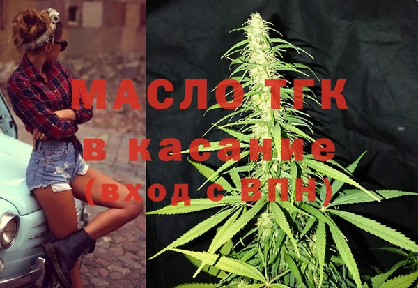 индика Алексеевка