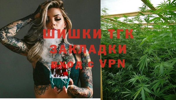 индика Алексеевка