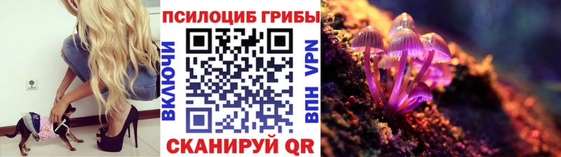 Галлюциногенные грибы мухоморы Лесосибирск